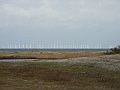 RIMG0356