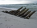 RIMG0369