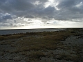 RIMG0374