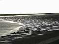 RIMG0380
