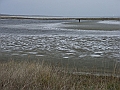RIMG0387