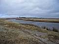 RIMG0426