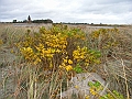 RIMG0455