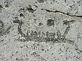 CC09