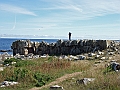 CC29