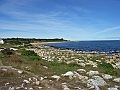 CC31