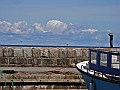 CC36
