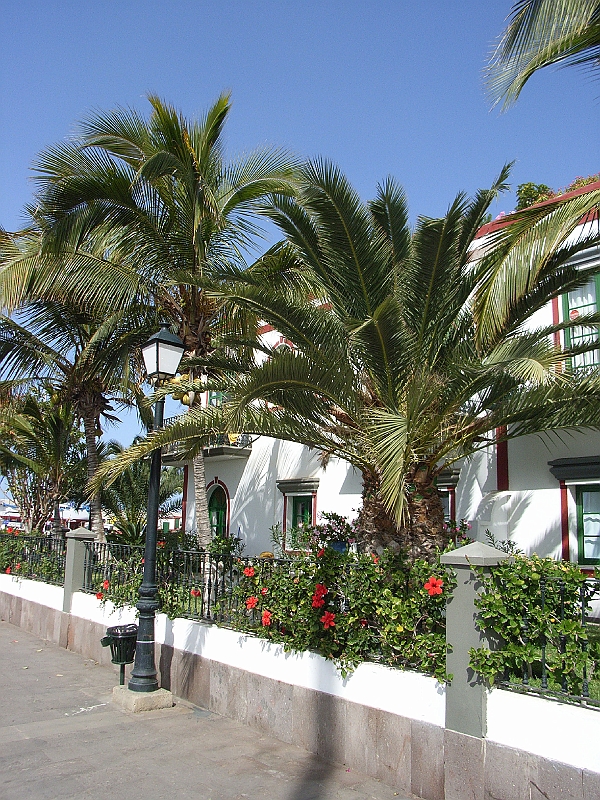 SA1261.jpg - Puerto de Mogan