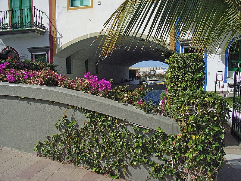 SA1264.jpg - Puerto de Mogan