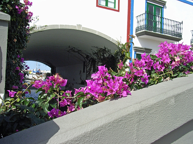 SA1271.jpg - Puerto de Mogan