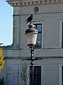 Ystadsresan21