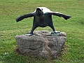 Ystadsresan38