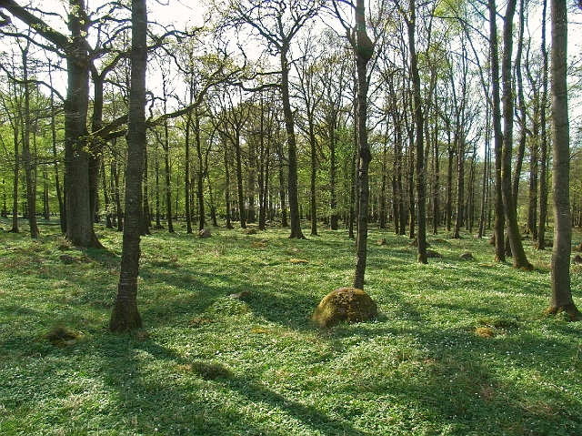prastgard13.jpg