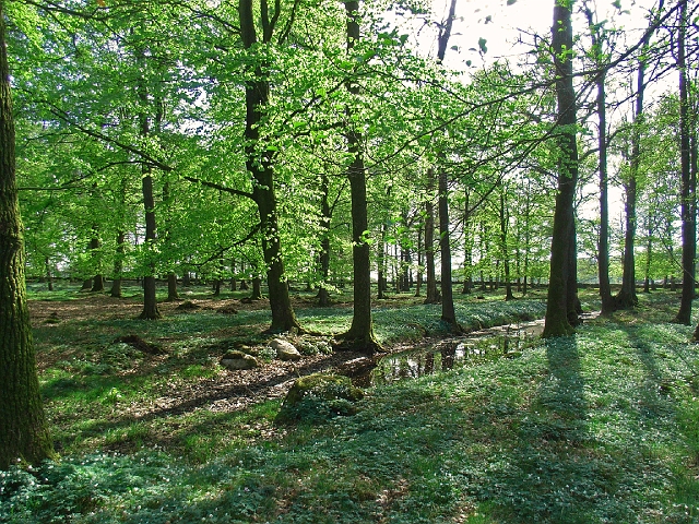 prastgard4.jpg
